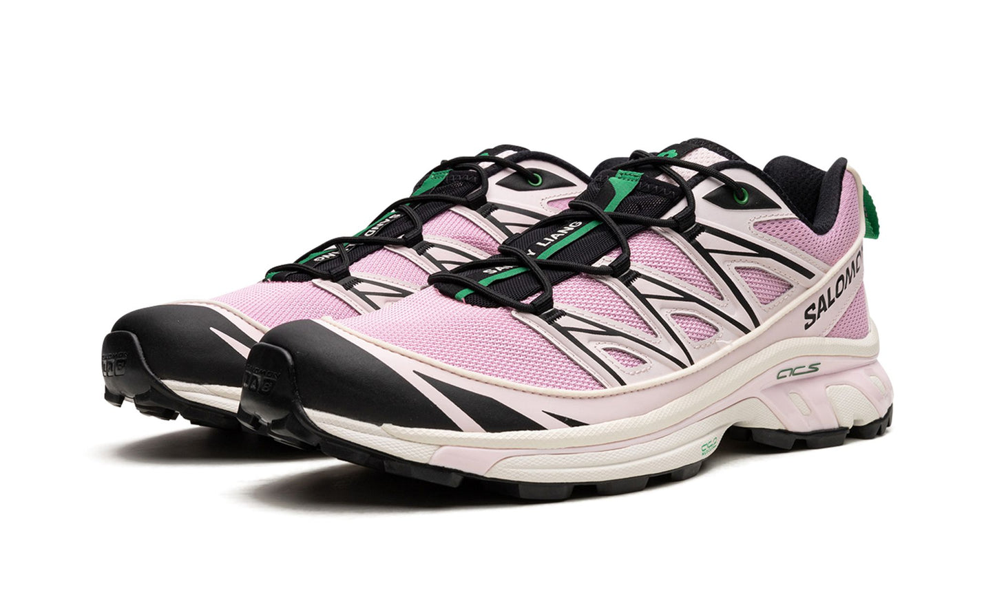Salomon XT-6 Expanse "Sandy Liang"