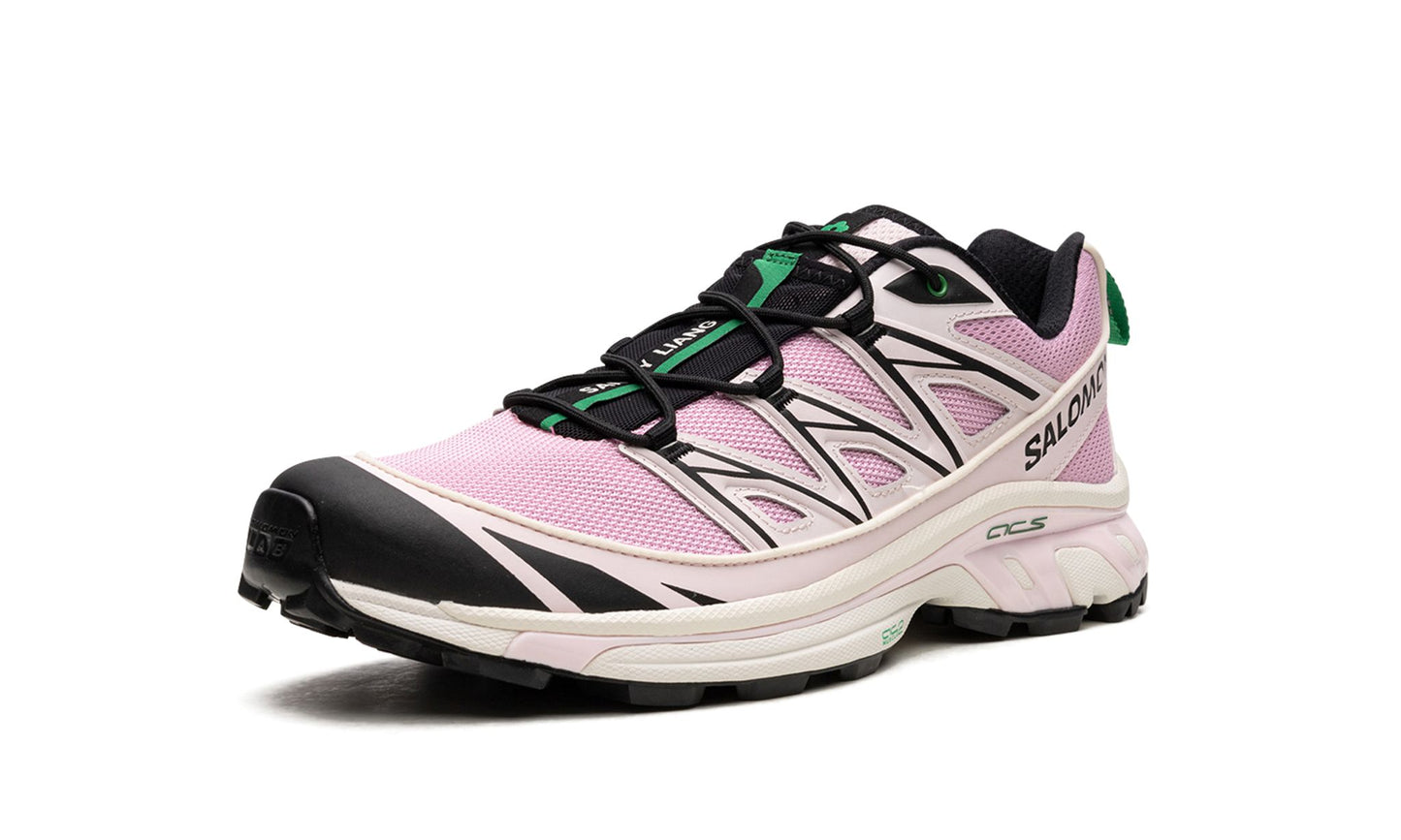 Salomon XT-6 Expanse "Sandy Liang"